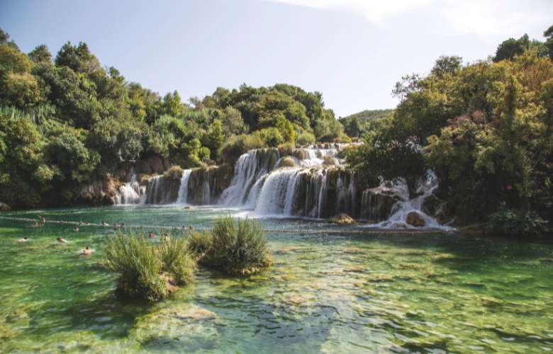 Warum wir das Wissen der Natur neu entdecken müssen