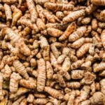 Fermentierte Kurkuma – warum sie 12× wirksamer ist