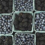 PAC & Antioxidantien – was sagt die Forschung?